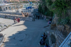 DSC01718